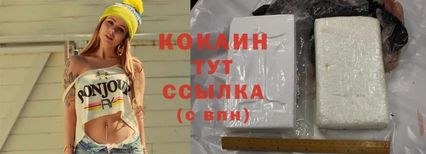 спиды Болотное