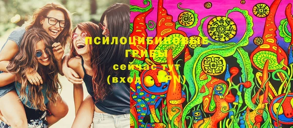 таблы Осинники