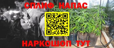 молекула духа Абинск