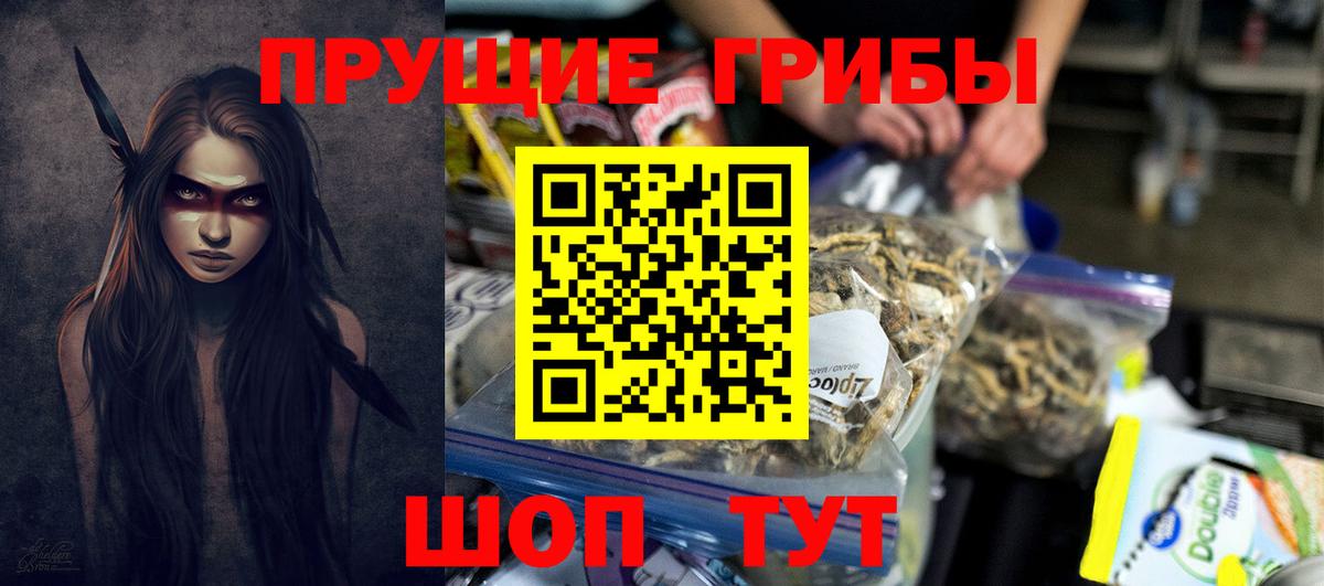 Псилоцибиновые грибы Cubensis Амурск