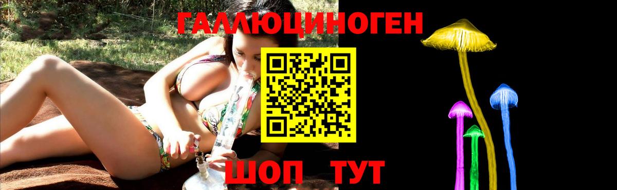 Псилоцибиновые грибы прущие грибы  Амурск 