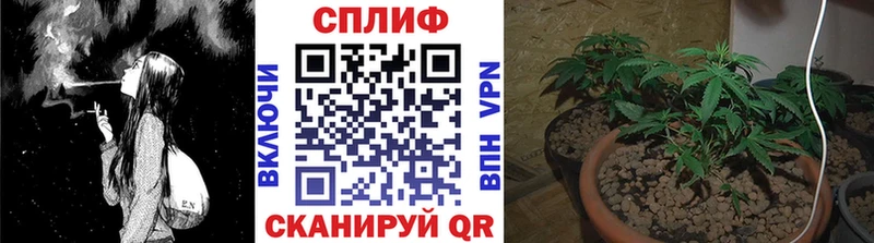 Каннабис семена Амурск